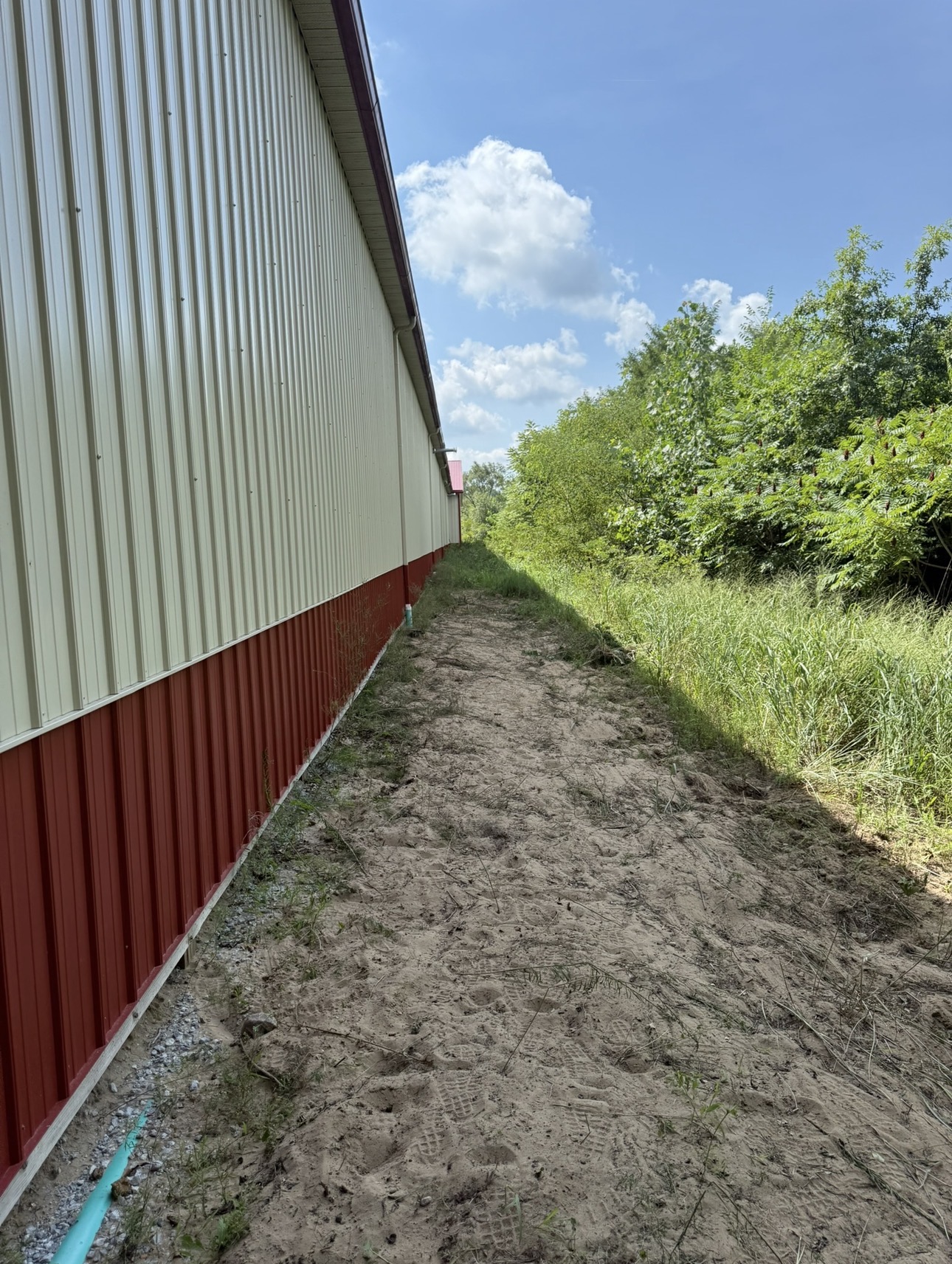 Cleared weeds and brush