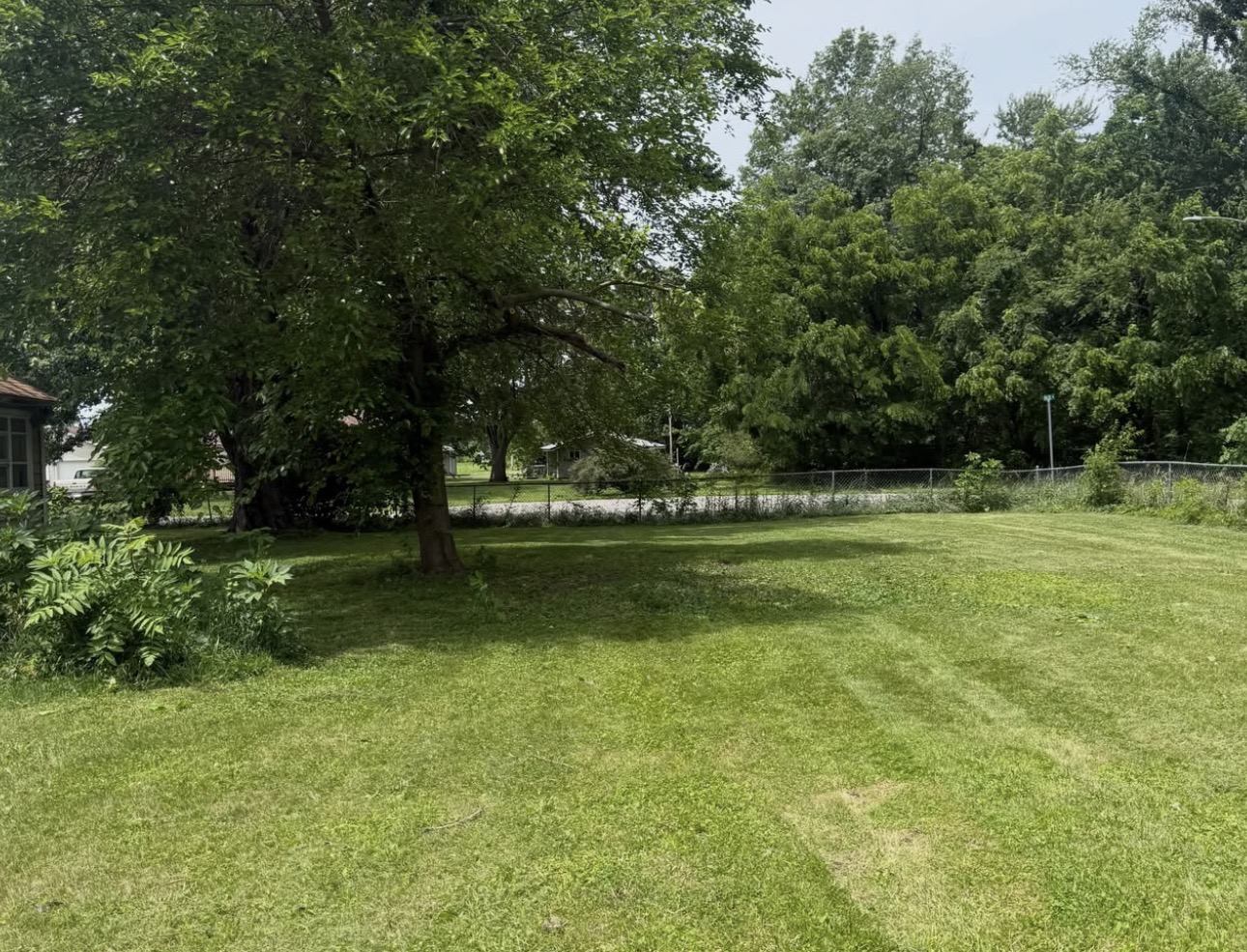 Freshly mowed lawn