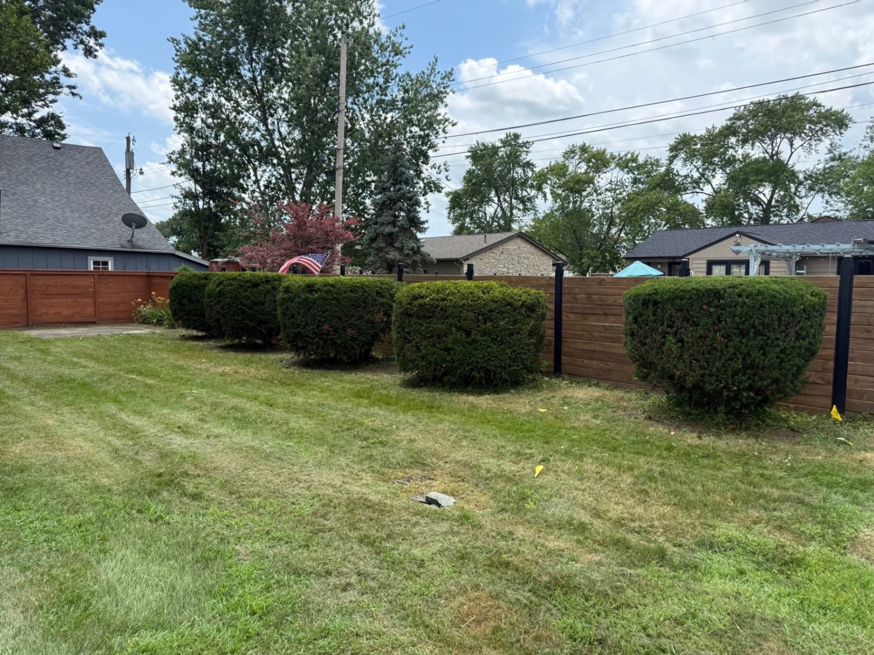 Trimmed walkway shrubs