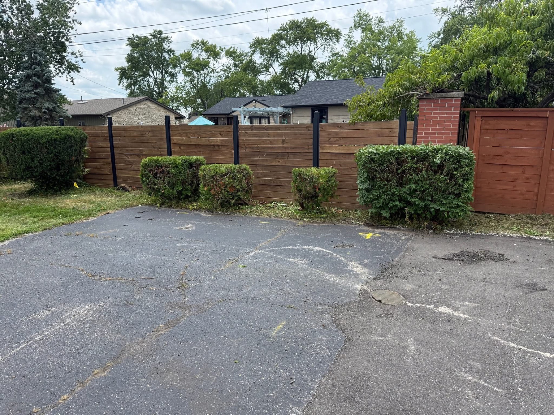 Trimmed shrubs