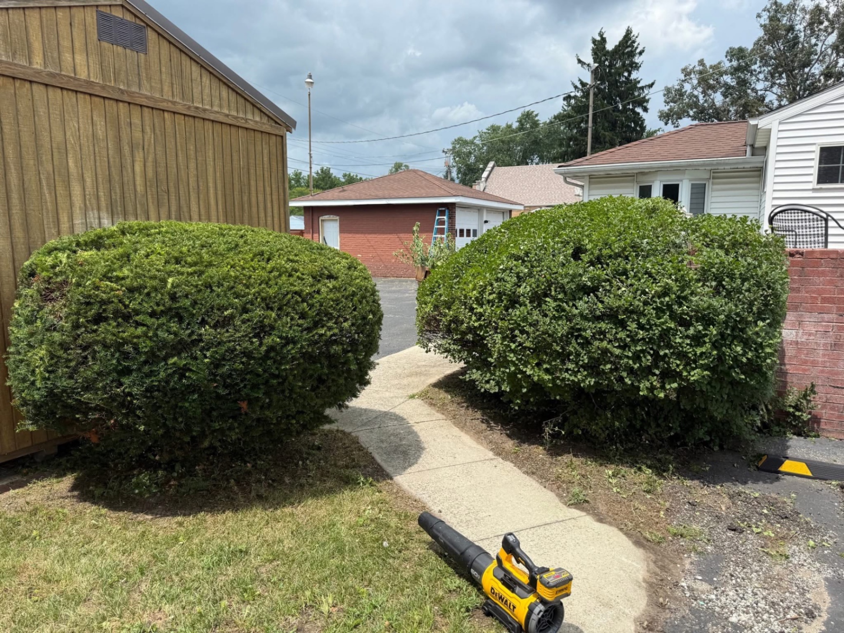 Shaped hedges