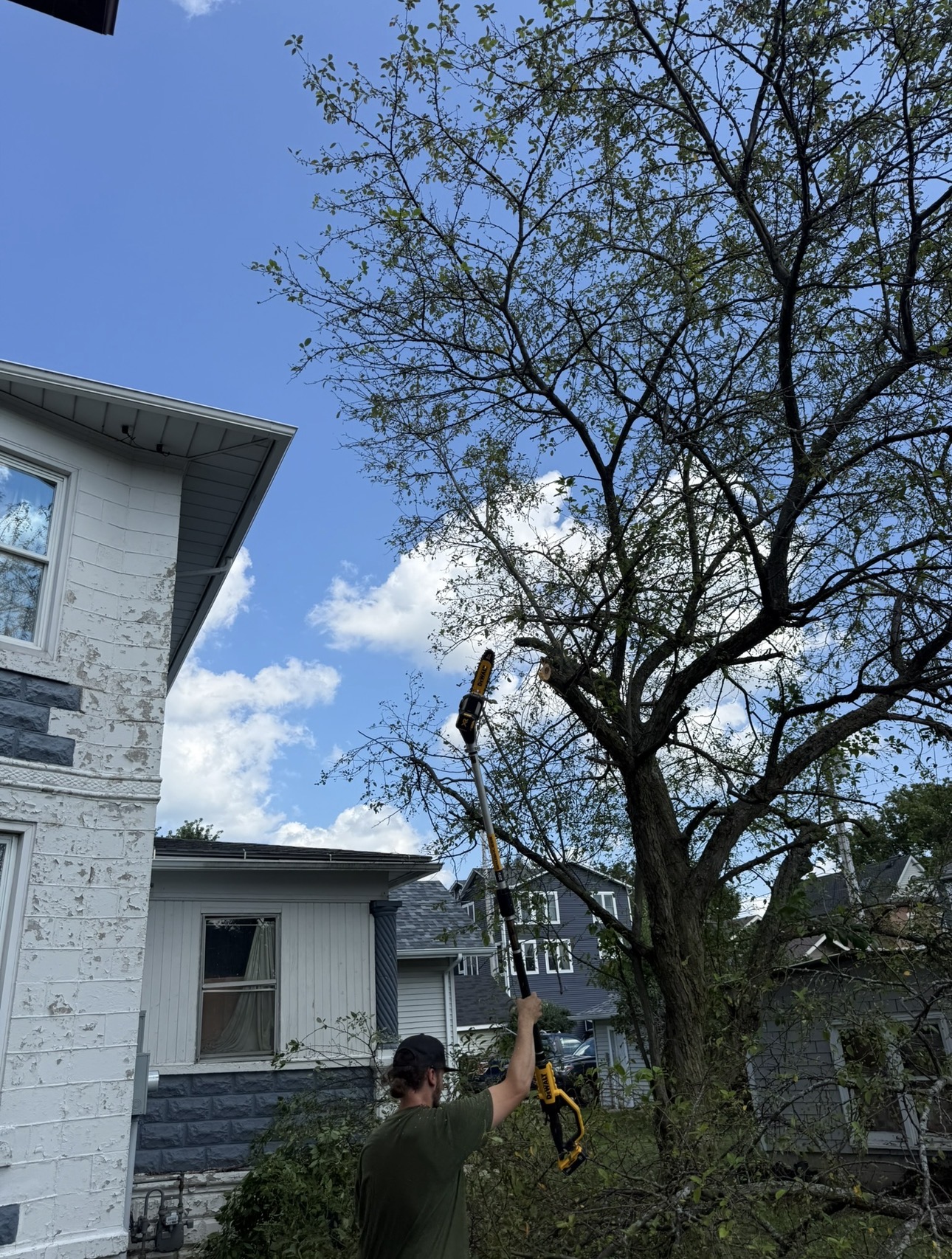 Tree trimming
